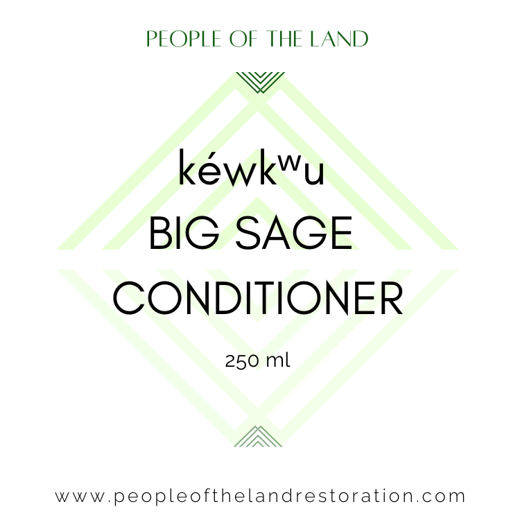 kéwkʷu Big Sage Conditioner 8 fl oz