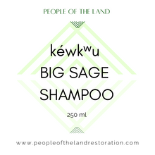 Load image into Gallery viewer, kéwkʷu Big Sage Shampoo 8 fl oz
