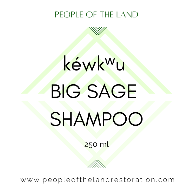 kéwkʷu Big Sage Shampoo 8 fl oz